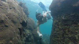 Kayaking + Snorkeling  Koh Tao Thailand