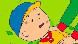 Caillou Falls Out of a Tree  Caillous New Adventures