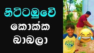 නිට්ටඹුවේ කොක්ක බාබලා  Surangi Vlogs  Sadeesha Sadew Wijesinghe