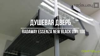 Душевая дверь с чёрным профилем в нишу Radaway Essenza New Black DWJ 100 в Одессе Киеве