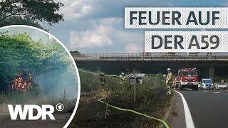 Autobahn-Brand durch Trockenheit Große Fläche Gebüsch in Flammen  S08E05  Feuer & Flamme  WDR