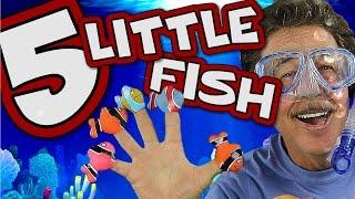 5 Little Fish  Count to 5  Fun Learning Song for Kids  Jack Hartmann