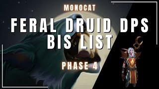 Feral Druid DPS Phase 4 BiS Classic TBC