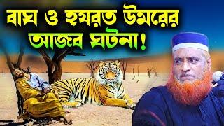 কি ঘটেছিল সেদিন বাঘ ও হযরত ওমর রা আনহুর সাথে #বজলুর রশিদ  Bozlur Roshid 2023  Bizlur Roshid Waz