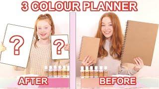 TWIN TELEPATHY 3 COLOR PAINT *DIY School Planner Makeover Challenge  Sis Vs Sis  Ruby and Raylee