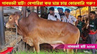 কোরবানির সুন্দর সুন্দর ছোট বড় গরু গুলো কত দাম চায় বেপারিরা  গাবতলী গরুর হাট ২০২৪  কৃষি ঘর