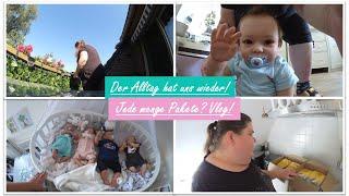 Der Alltag hat uns wieder So viele Pakete? Vlog  Reborn Baby Deutsch  Little Reborn Nursery