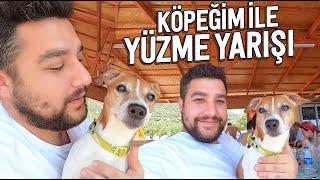 Köpeğim ile Yüzme Yarışı