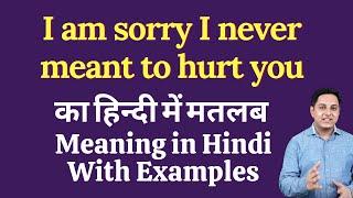 I am sorry I never meant to hurt you meaning in Hindi  I am sorry I never meant to hurt you means