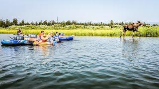 Moose Encounter While River Tubing  #shorts