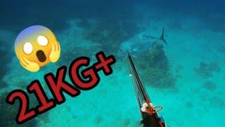 SPEARFISHING PHILIPPINES  GIANT TREVALLY  KING MACKEREL  MEL SPEARFISHING TV