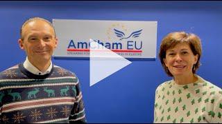 Happy holidays from AmCham EU