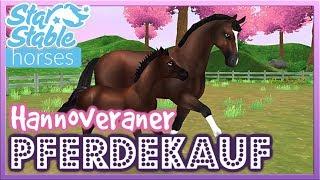 Star Stable SSO Der HANNO aus der APP im SPIEL PFERDEKAUF DEUTSCH