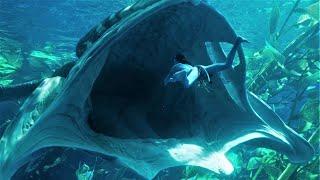 4K Inside an alien whales mouth ATWOW