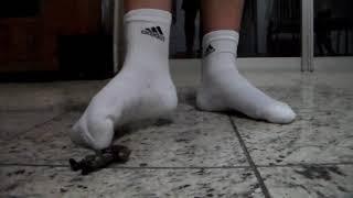 Giant in socks dismembers army man.