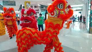 Paradigm Mall - 8 Lion Dance