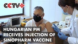 Hungarian PM Receives Injection of Chinas Sinopharm Vaccine