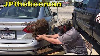 Huge Honey Bee Swarm On Young Ladys Vehicle