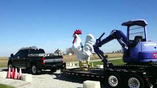 Giant Rooster Leaving