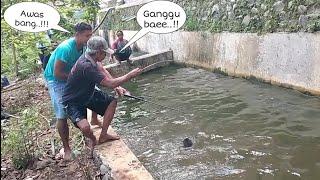 Pemancing kelas berat‼️jangan coba2 kalo belum siap mental..