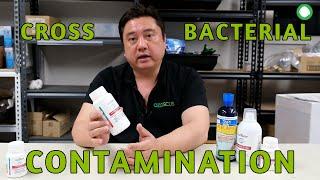 Cross Bacterial Contamination In Discus  What Is It & How To Treat It?