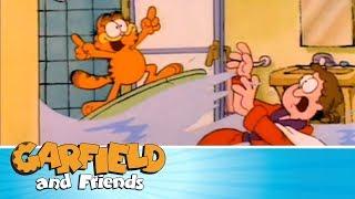 Surfer Cat - Garfield & Friends