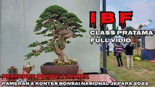 INDONESIA BONSAI FIGHTER CLASS PRATAMA  PAMERAN DAN KONTES BONSAI NASIONAL JEPARA 2022