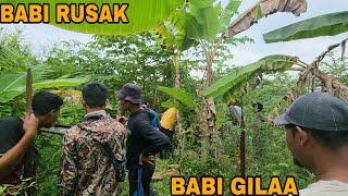 SATU KAMPUNG TURUN UNTUK KENDALIKAN HAMA BABI