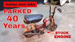 WILL IT RUN Benelli Buzzer Mini Bike