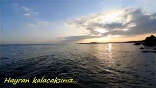 Sea Sound Water Bird and Wave Sounds. Relaxing Relaxing Beautiful Nature Landscape