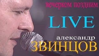 Александр Звинцов - Вечерком поздним Live