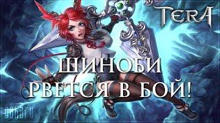 TERA Стрим Одеваем Шиноби чем заняться после 65 уровня