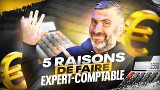 Devenir Expert Comptable  Voici 5 Raisons dy Aller Si vous ne tardez pas ça va être le 