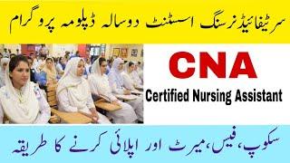 CNA Certified Nursing Assistant 2 years diploma program. ThebestNurse