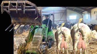 FARMING 2024 ROBOTIC MACHINE COW MILKING GRINDING AND CLEANING POWERHOUSE MACHINES MILKING FEEDING