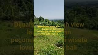 for sale ocean land location lovina Buleleng bali price 65 milion for 1 ara #realestate #pyp