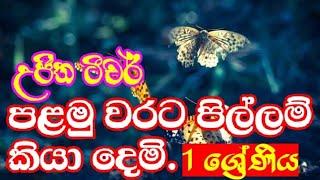 #ujitha champika#sinhala#gread I#. ඇලපිල්ල ආ ශබ්දය අදුරාගනිමු  1 ශ්‍රේණිය මව්බස