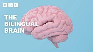 The AMAZING scientific benefits of being bilingual  BBC Ideas - BBC