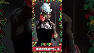 Grace Jones Live at Reggae Rotterdam Festival 2022 part 02