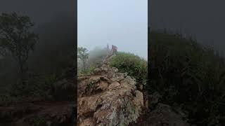 Kabut di bukit Pyramid hujan angin kaki dah mulai oleng #explorehongkong #hiking  #fullguide