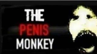 My Experience With The Penis Monkey CREEPYPASTA