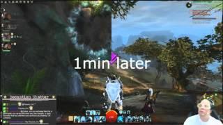 docgotgame bans Colin Johanson on stream Game Director for Guild Wars 2