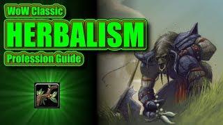 WoW Classic Your Complete Herbalism Profession Guide and Leveling 1-300