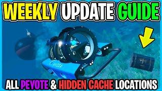 GTA Online Weekly Update GUIDE ALL Peyote Plant & Hidden Cache Locations