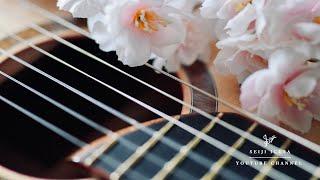 Chill Guitar Music for Spring  Seiji Igusa - New EP Spring Breeze