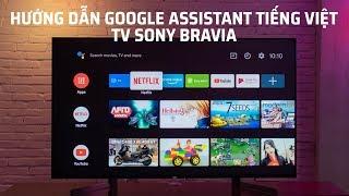 Hướng dẫn thiết lập Google Assistant tiếng việt trên TV Sony bravia