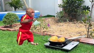 Bibi enlisted to boil potatoes when Dad was busy with work