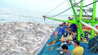 GAK DI SANGKA‼️ Tangkapan Ikan Hari Ini Di Luar Dugaan  Vlog Nelayan Tawor - Cupliz Ahmad