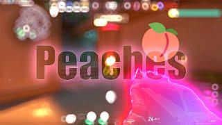 Peaches  Justin Bieber Valorant Montage