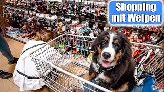 Einkaufen mit Welpen  Shopping Haul für Mochi Erstausstattung Hund  Mamiseelen